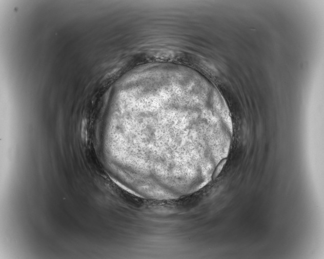 X0000085750962200704091313