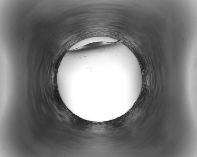 X0000085750964200704091313