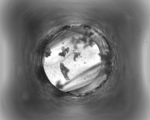 X0000085750965200704091313