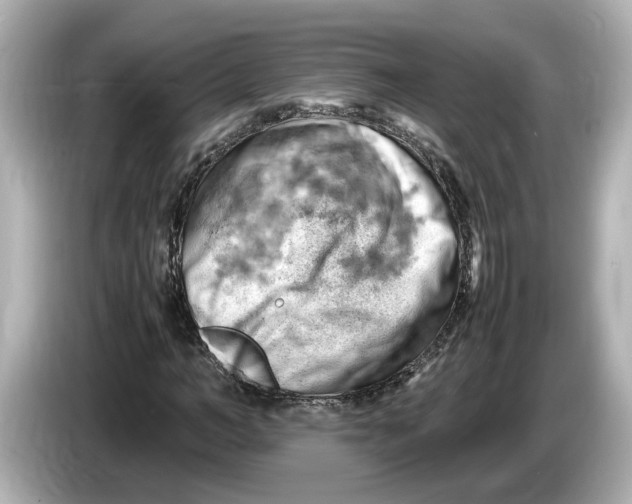 X0000085750966200704091313