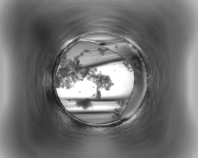 X0000085750969200704091313