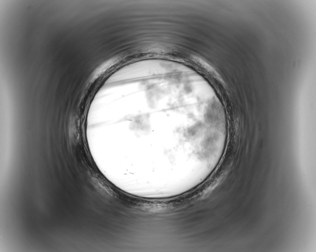 X0000085750970200704091313