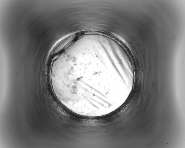 X0000085750971200704091313