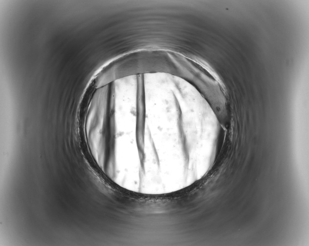 X0000085750972200704091313