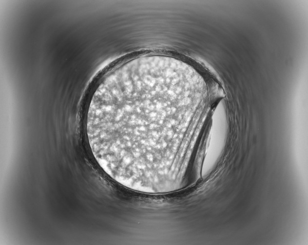 X0000085750975200704091313