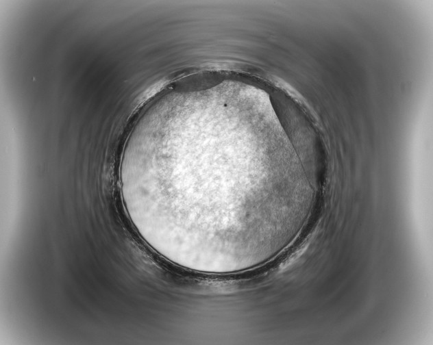 X0000085750977200704091313