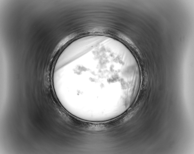 X0000085750978200704091313