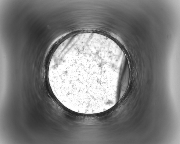 X0000085750979200704091313