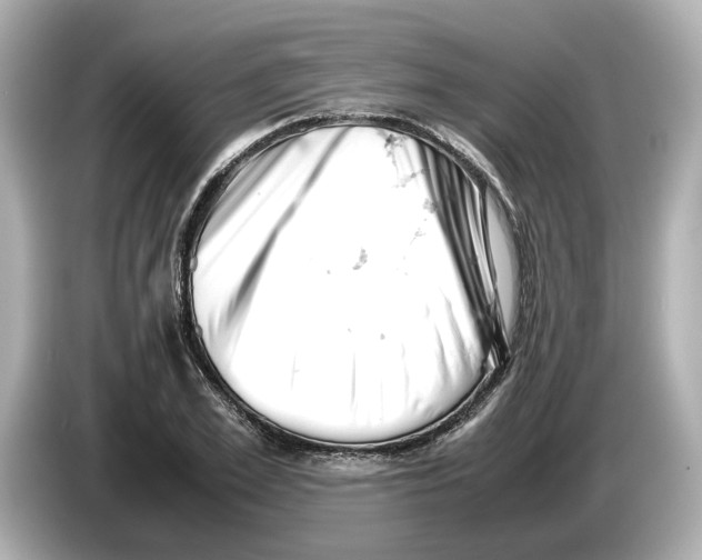 X0000085750981200704091313