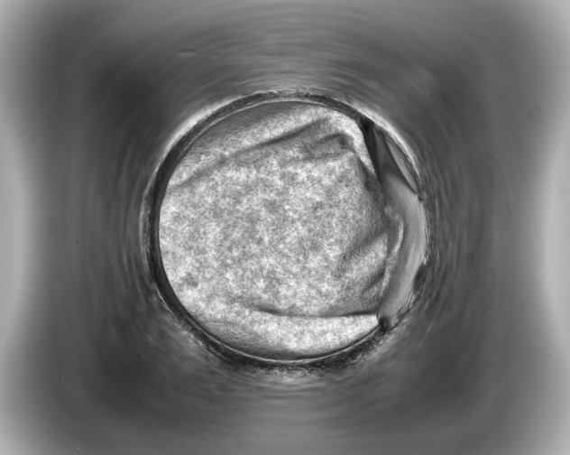 X0000085750983200704091313