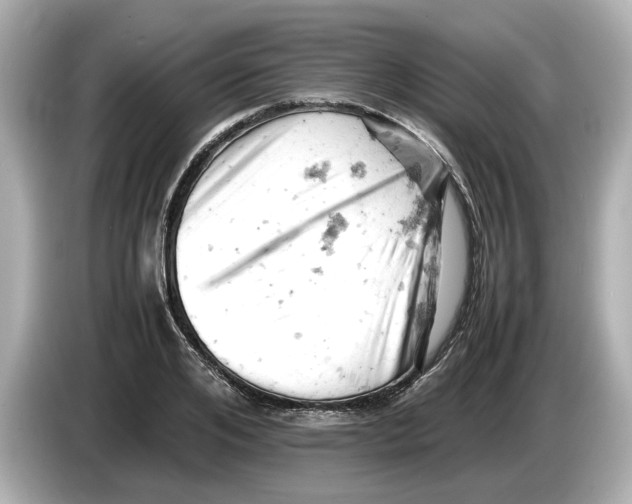 X0000085750984200704091313