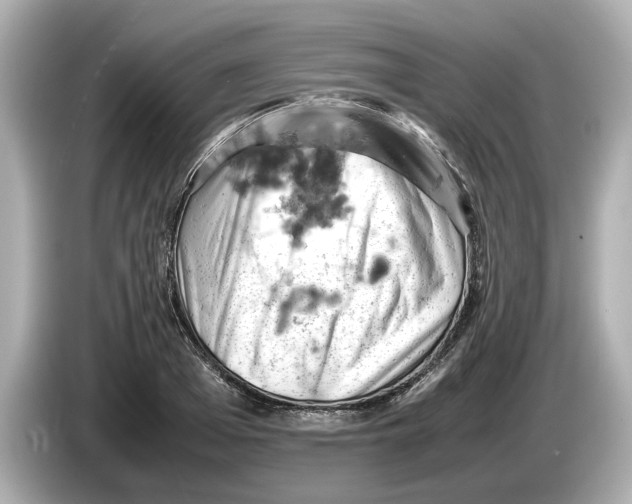 X0000085750985200704091313