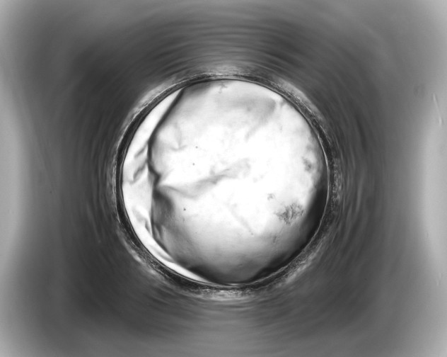 X0000085750986200704091313