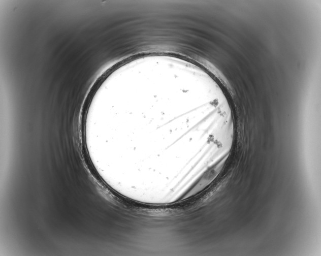 X0000085750988200704091313