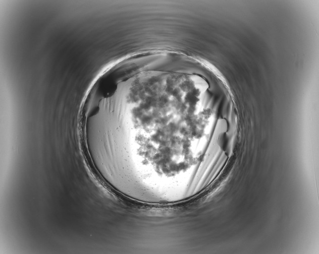 X0000085750989200704091313