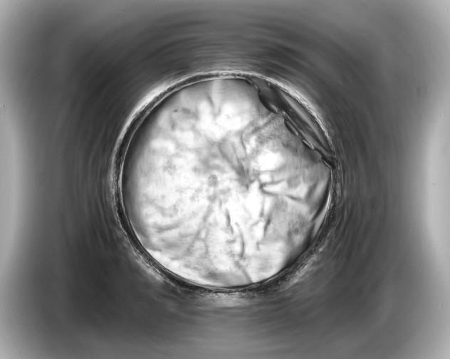 X0000085750990200704091313