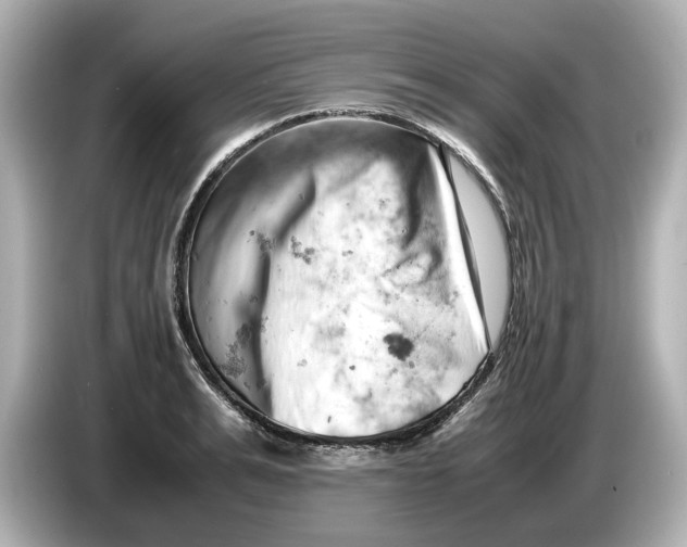 X0000085750991200704091313