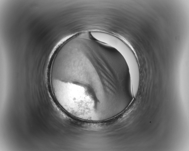 X0000085750995200704091313