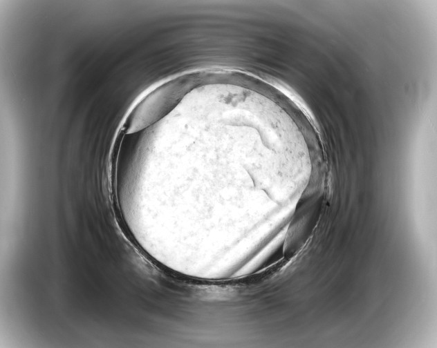 X0000085750996200704091313