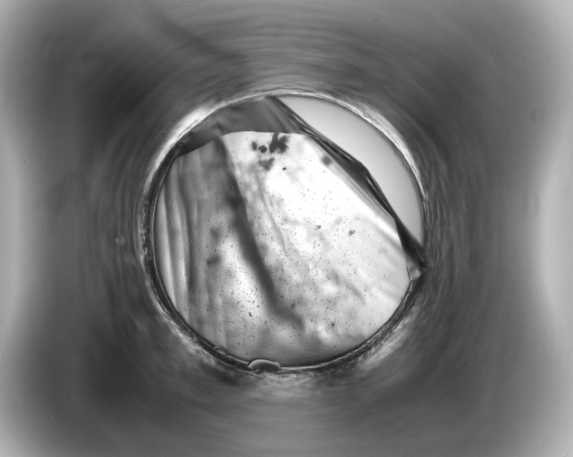 X0000085750997200704091313