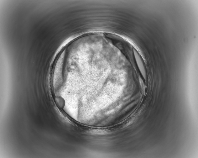 X0000085750998200704091312