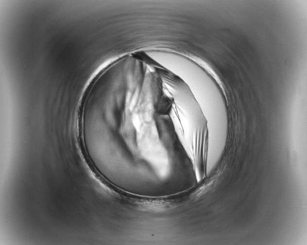 X0000085750999200704091312