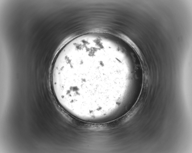 X0000085751002200704091312