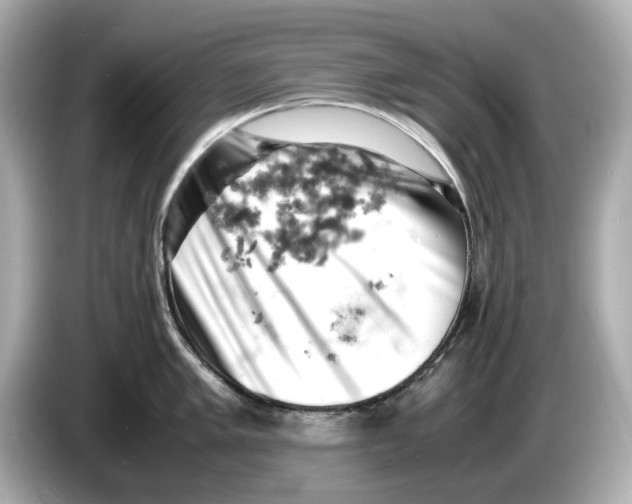 X0000085751005200704091312