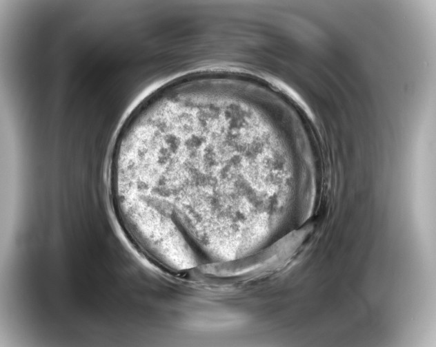 X0000085751007200704091312