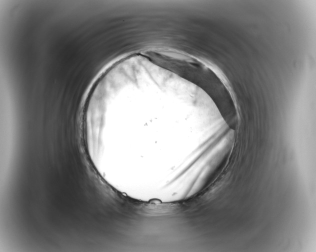 X0000085751008200704091312