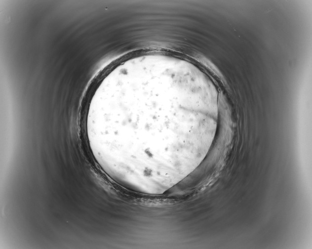 X0000085751020200704091312