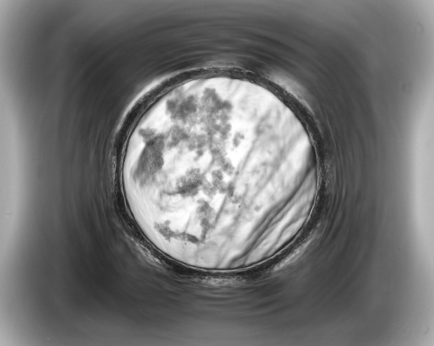 X0000085751021200704091312