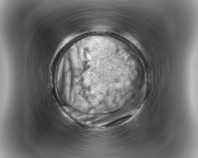 X0000085751022200704091312