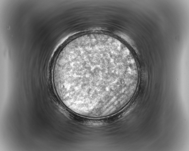 X0000085751023200704091312