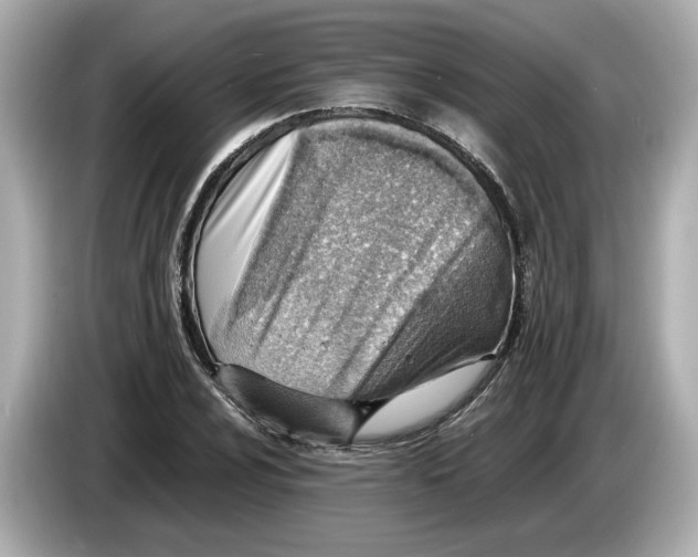 X0000085751024200704091312