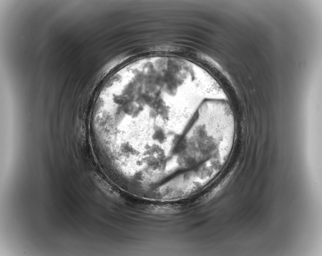 X0000085751025200704091312