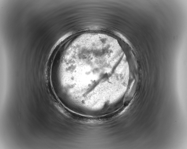 X0000085751026200704091312