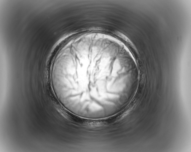 X0000085751027200704091312