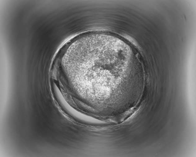 X0000085751030200704091312