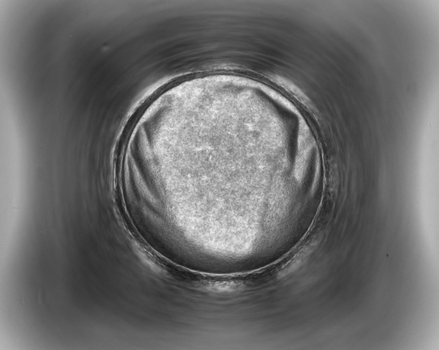 X0000085751031200704091312