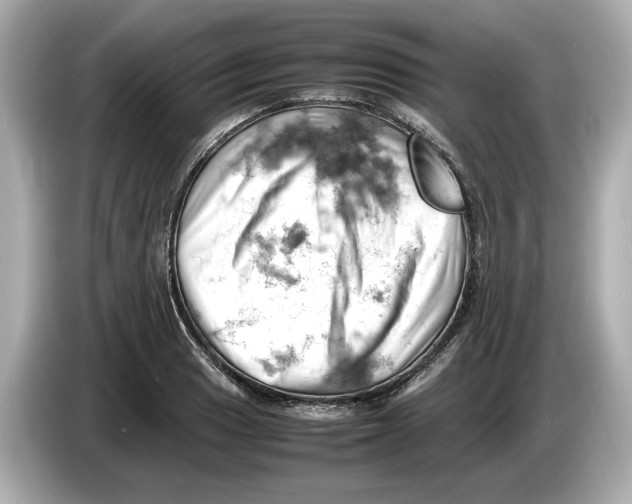 X0000085751033200704091312