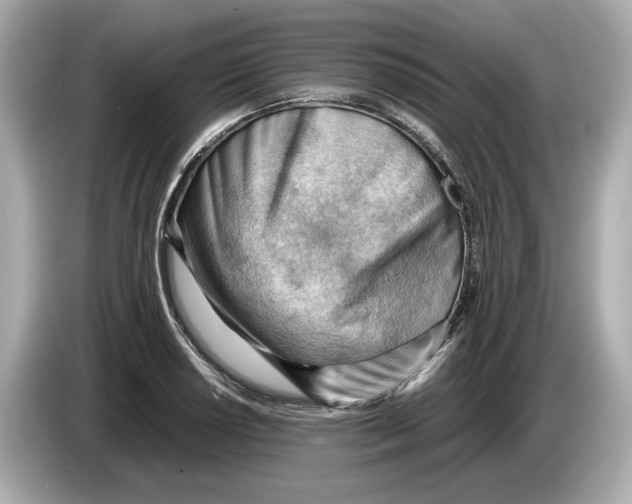 X0000085751034200704091312