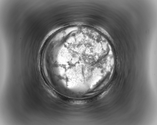 X0000085751035200704091312