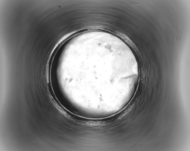 X0000085751036200704091312