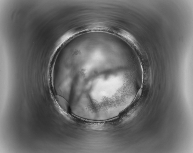 X0000085751038200704091312