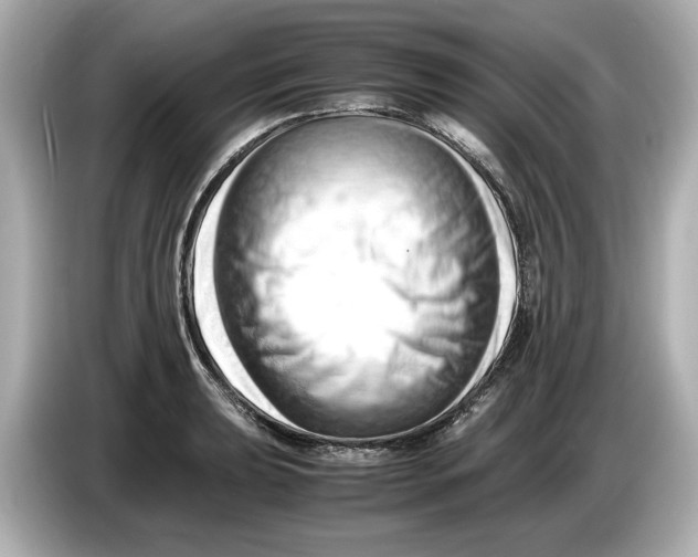 X0000085751039200704091312