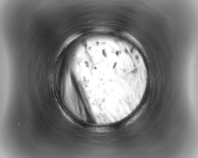 X0000085751041200704091312