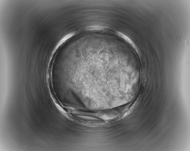 X0000085751042200704091312