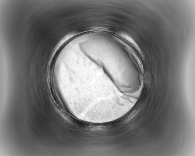 X0000085751043200704091312