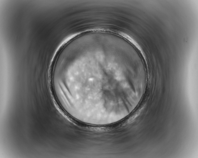 X0000085751045200704091312